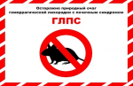 Памятка по профилактике геморрагической лихорадки с почечным синдромом (ГЛПС)
